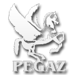 pegaz1